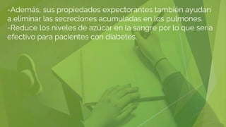 -Además, sus propiedades expectorantes también ayudan
a eliminar las secreciones acumuladas en los pulmones.
-Reduce los niveles de azúcar en la sangre por lo que sería
efectivo para pacientes con diabetes.
 