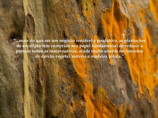 “...mais do que ser um negócio rentável e produtivo, as plantações
de eucalipto têm cumprido seu papel fundamental de reduzir a
pressão sobre as matas nativas, ainda muito usadas no consumo
de carvão vegetal, móveis e madeira sólida.”
 