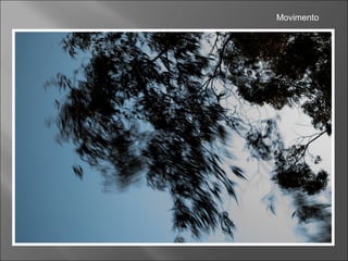 Movimento
 