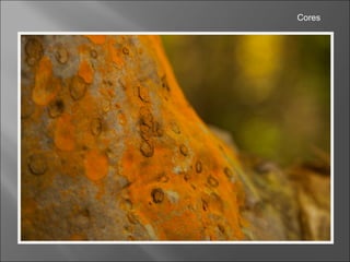 Cores
 