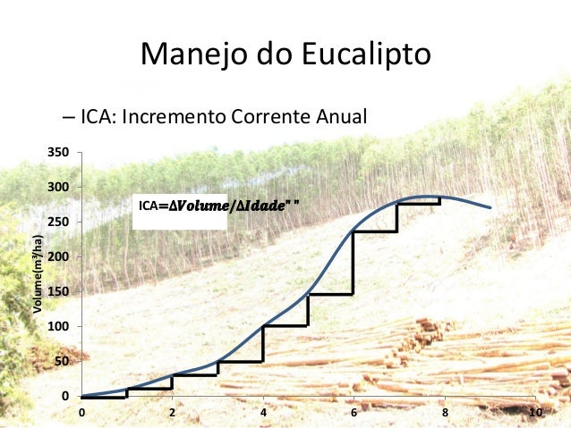 Eucaliptocultura: economia e planejamento florestal.