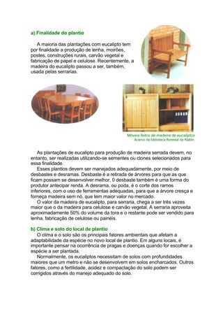 a) Finalidade do plantio
A maioria das plantações com eucalipto tem
por finalidade a produção de lenha, moirões,
postes, construções rurais, carvão vegetal e
fabricação de papel e celulose. Recentemente, a
madeira do eucalipto passou a ser, também,
usada pelas serrarias.
Móveis feitos de madeira de eucaliptos
Acervo da biblioteca florestal da Klabin.
As plantações de eucalipto para produção de madeira serrada devem, no
entanto, ser realizadas utilizando-se sementes ou clones selecionados para
essa finalidade.
Esses plantios devem ser manejados adequadamente, por meio de
desbastes e desramas. Desbaste é a retirada de árvores para que as que
ficam possam se desenvolver melhor. 0 desbaste também é uma forma do
produtor antecipar renda. A desrama, ou poda, é o corte dos ramos
inferiores, com o uso de ferramentas adequadas, para que a árvore cresça e
forneça madeira sem nó, que tem maior valor no mercado.
O valor da madeira de eucalipto, para serraria, chega a ser três vezes
maior que o da madeira para celulose e carvão vegetal. A serraria aproveita
aproximadamente 50% do volume da tora e o restante pode ser vendido para
lenha, fabricação de celulose ou painéis.
b) Clima e solo do local de plantio
O clima e o solo são os principais fatores ambientais que afetam a
adaptabilidade da espécie no novo local de plantio. Em alguns locais, é
importante pensar na ocorrência de pragas e doenças quando for escolher a
espécie a ser plantada.
Normalmente, os eucaliptos necessitam de solos com profundidades
maiores que um metro e não se desenvolvem em solos encharcados. Outros
fatores, como a fertilidade, acidez e compactação do solo podem ser
corrigidos através do manejo adequado do solo.
 