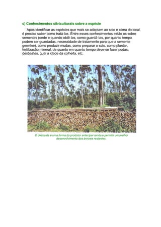 c) Conhecimentos silviculturais sobre a espécie
Após identificar as espécies que mais se adaptam ao solo e clima do local,
é preciso saber como tratá-las. Entre esses conhecimentos estão os sobre
sementes (onde e quando obtê-las, como guardá-Ias, por quanto tempo
podem ser guardadas, necessidade de tratamento para que a semente
germine), como produzir mudas, como preparar o solo, como plantar,
fertilizacão mineral, de quanto em quanto tempo deve-se fazer podas,
desbastes, qual a idade da colheita, etc.
O desbaste é uma forma do produtor antecipar renda e permitir um melhor
desenvolvimento das árvores restantes.
 