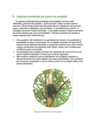 9. Aspectos ambientais da cultura do eucalipto
O aspecto ambiental das plantações de eucalipto é um dos mais
debatidos, gerando discussões e, quase sempre, idéias erradas sobre o
assunto. Os principais pontos de discussão são em relação ao consumo de
água, nutrientes e alelopatia, com as frases: "o eucalipto seca a terra"; "o
eucalipto consome muitos nutrientes"; "o eucalipto impede o desenvolvimento
de outras plantas nas suas proximidades". Estudos recentes em relação a
esses aspectos têm mostrado que:
• Os eucaliptos não interferem na quantidade de chuvas e na qualidade e
quantidade da água sub-terrânea. Os eucaliptos precisam de água tanto
quanto outras espécies florestais, e pesquisas mostram que usam melhor
a água, produzindo normalmente mais folhas, casca, raiz e madeira por
unidade de água consumida;
• As plantações de eucalipto precisam de nutrientes da mesma forma que
outras espécies florestais e menos que culturas agrícolas;
• Não existem evidências que as plantações de eucaliptos impedem o
desenvolvimento de outras plantas nas suas proximidades. Isso acontece
por causa da competição e não do efeito químico do eucalipto sobre outra
planta (alelopatia).
Pássaros fazem ninhos em eucaliptos.
 