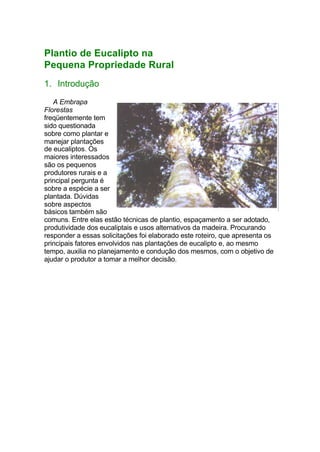 Plantio de Eucalipto na
Pequena Propriedade Rural
1. Introdução
A Embrapa
Florestas
freqüentemente tem
sido questionada
sobre como plantar e
manejar plantações
de eucaliptos. Os
maiores interessados
são os pequenos
produtores rurais e a
principal pergunta é
sobre a espécie a ser
plantada. Dúvidas
sobre aspectos
básicos também são
comuns. Entre elas estão técnicas de plantio, espaçamento a ser adotado,
produtividade dos eucaliptais e usos alternativos da madeira. Procurando
responder a essas solicitações foi elaborado este roteiro, que apresenta os
principais fatores envolvidos nas plantações de eucalipto e, ao mesmo
tempo, auxilia no planejamento e condução dos mesmos, com o objetivo de
ajudar o produtor a tomar a melhor decisão.
 