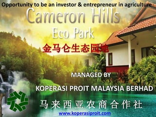 Opportunity to be an investor & entrepreneur in agriculture




                           MANAGED BY
             KOPERASI PROIT MALAYSIA BERHAD

              马来西亚农商合作社
                      www.koperasiproit.com
 