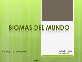 Eucarhil Pérez
24.543.660

Prof.: Ing. Yira Rodríguez

SAIA A

 