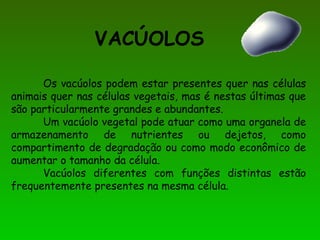 VACÚOLOS
Os vacúolos podem estar presentes quer nas células
animais quer nas células vegetais, mas é nestas últimas que
são particularmente grandes e abundantes.
Um vacúolo vegetal pode atuar como uma organela de
armazenamento de nutrientes ou dejetos, como
compartimento de degradação ou como modo econômico de
aumentar o tamanho da célula.
Vacúolos diferentes com funções distintas estão
frequentemente presentes na mesma célula.
 