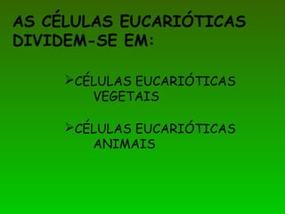 AS CÉLULAS EUCARIÓTICAS
DIVIDEM-SE EM:
CÉLULAS EUCARIÓTICAS
VEGETAIS
CÉLULAS EUCARIÓTICAS
ANIMAIS
 