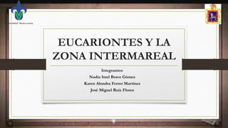EUCARIONTES Y LA
ZONA INTERMAREAL
Integrantes:
Nadia Itzel Bravo Gómez
Karen Alondra Ferrer Martínez
José Miguel Ruiz Flores
 