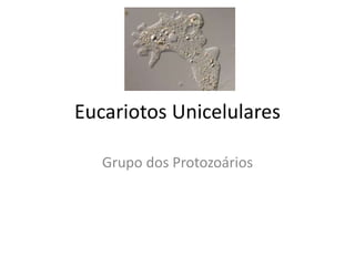Eucariotos Unicelulares
Grupo dos Protozoários
 