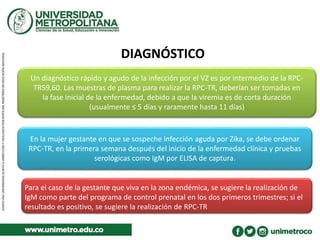 DIAGNÓSTICO
Un diagnóstico rápido y agudo de la infección por el VZ es por intermedio de la RPC-
TR59,60. Las muestras de plasma para realizar la RPC-TR, deberían ser tomadas en
la fase inicial de la enfermedad, debido a que la viremia es de corta duración
(usualmente ≤ 5 días y raramente hasta 11 días)
En la mujer gestante en que se sospeche infección aguda por Zika, se debe ordenar
RPC-TR, en la primera semana después del inicio de la enfermedad clínica y pruebas
serológicas como IgM por ELISA de captura.
Para el caso de la gestante que viva en la zona endémica, se sugiere la realización de
IgM como parte del programa de control prenatal en los dos primeros trimestres; si el
resultado es positivo, se sugiere la realización de RPC-TR
 