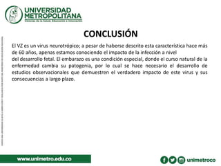CONCLUSIÓN
El VZ es un virus neurotrópico; a pesar de haberse descrito esta característica hace más
de 60 años, apenas estamos conociendo el impacto de la infección a nivel
del desarrollo fetal. El embarazo es una condición especial, donde el curso natural de la
enfermedad cambia su patogenia, por lo cual se hace necesario el desarrollo de
estudios observacionales que demuestren el verdadero impacto de este virus y sus
consecuencias a largo plazo.
 