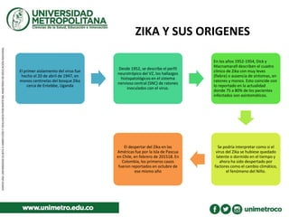 ZIKA Y SUS ORIGENES
El primer aislamiento del virus fue
hecho el 20 de abril de 1947, en
monos centinelas del bosque Zika
cerca de Entebbe, Uganda
Desde 1952, se describe el perfil
neurotrópico del VZ, los hallazgos
histopatológicos en el sistema
nervioso central (SNC) de ratones
inoculados con el virus.
En los años 1952-1954, Dick y
Macnamara9 describen el cuadro
clínico de Zika con muy leves
(fiebre) o ausencia de síntomas, en
ratones y monos. Esto coincide con
lo reportado en la actualidad
donde 75 a 80% de los pacientes
infectados son asintomáticos.
Se podría interpretar como si el
virus del Zika se hubiese quedado
latente o dormido en el tiempo y
ahora ha sido despertado por
factores como el cambio climático,
el fenómeno del Niño.
El despertar del Zika en las
Américas fue por la Isla de Pascua
en Chile, en febrero de 201518. En
Colombia, los primeros casos
fueron reportados en octubre de
ese mismo año
 
