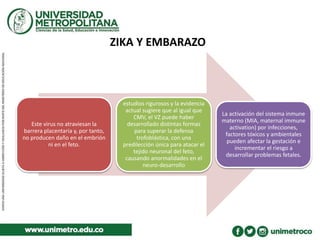 ZIKA Y EMBARAZO
Este virus no atraviesan la
barrera placentaria y, por tanto,
no producen daño en el embrión
ni en el feto.
estudios rigurosos y la evidencia
actual sugiere que al igual que
CMV, el VZ puede haber
desarrollado distintas formas
para superar la defensa
trofoblástica, con una
predilección única para atacar el
tejido neuronal del feto,
causando anormalidades en el
neuro-desarrollo
La activación del sistema inmune
materno (MIA, maternal immune
activation) por infecciones,
factores tóxicos y ambientales
pueden afectar la gestación e
incrementar el riesgo a
desarrollar problemas fetales.
 