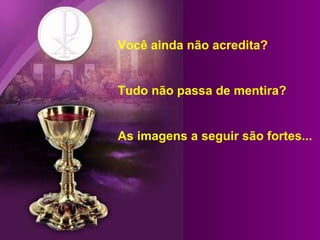 Você ainda não acredita? Tudo não passa de mentira? As imagens a seguir são fortes... 