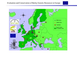   Evaluation and Conservation of Barley Genetic Resources in Europe 