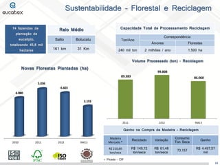 Sustentabilidade – Florestal e Reciclagem
74 fazendas de
plantação de

Capacidade Total de Processamento Reciclagem

Raio Médio

eucalipto,

Salto

Botucatu

hectares

161 km

31 Km

240 mil ton

Correspondência

Ton/Ano

totalizando 45,8 mil

Árvores

Florestas

2 milhões / ano

1.500 ha

Volume Processado (ton) - Reciclagem

Novas Florestas Plantadas (ha)

99.808
89.383

86.068

5.036
4.603

4.080
3.193

2011

2012

9M13

Ganho na Compra de Madeira - Reciclagem

2010

2011

2012

9M13

Madeira
Mercado *

Reciclado

Variação

Consumo
Ton Seca

Ganho

R$ 210,60
ton/seca

R$ 149,12
ton/seca

R$ 61,48
ton/seca

73.157

R$ 4.497,57
mil

* Picada - CIF

16

 