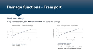 Damage Functions | PPTX