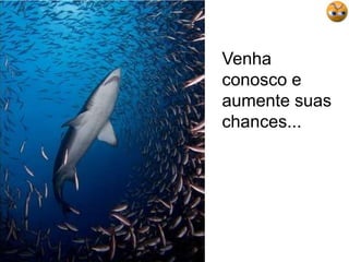 Venha conosco e aumente suas chances...