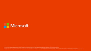 End User Development - Governance and Risk Management