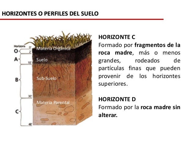 La%20 formaci%c3%93n%20de%20los%20suelos