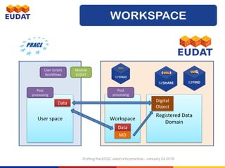 Workspace
Registered Data
Domain
User space
Data
Data
MD
Digital
Object
Module
EUDAT
Post
processing
Post
processing
User scripts
Workflows
Putting the EOSC vision into practice - January 24 2018
 