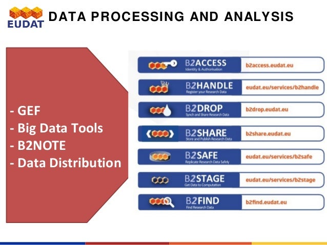 Data Processing and Analysis