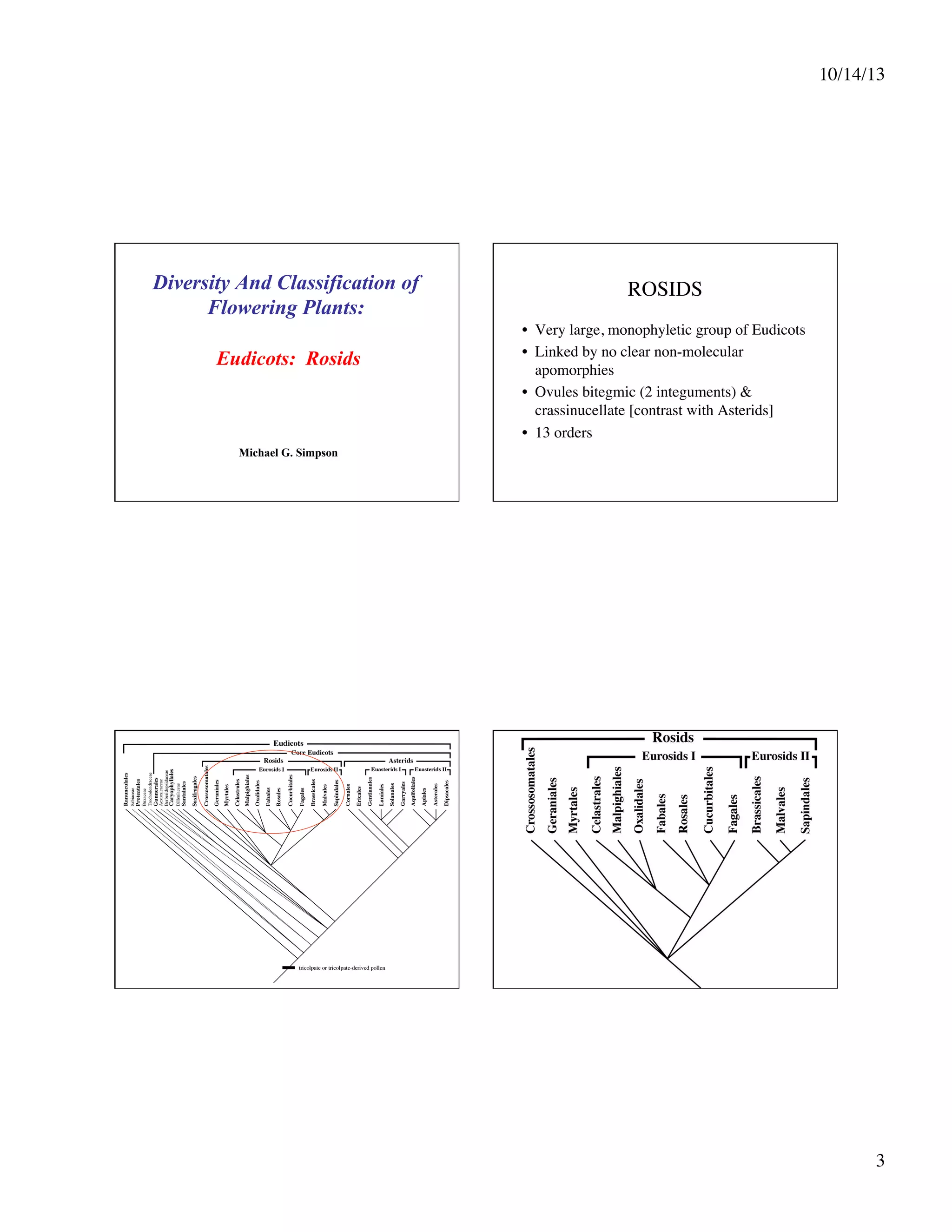 10/14/13
	


Diversity And Classification of
Flowering Plants:
Eudicots: Rosids

ROSIDS
	

•  Very large, monophyletic group of Eudicots	

•  Linked by no clear non-molecular
apomorphies	

•  Ovules bitegmic (2 integuments) &
crassinucellate [contrast with Asterids]	

•  13 orders	


Michael G. Simpson

3
	


 