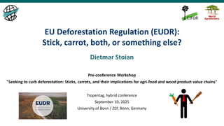thumbnail of  EU Deforestation Regulation (EUDR): Stick, carrot, both, or something else?
