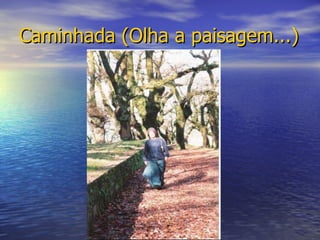 Caminhada (Olha a paisagem...) 