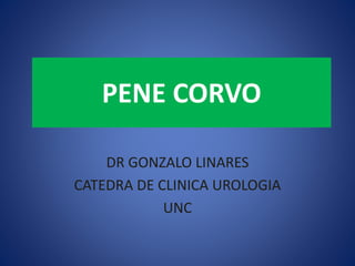 PENE CORVO
DR GONZALO LINARES
CATEDRA DE CLINICA UROLOGIA
UNC
 
