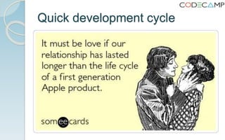 Quick development cycle
 