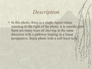 Description In this photo, there is a single figure/statue standing to the right of the photo, it is outside, and there are many trees all moving in the same direction with a pathway leading in a linear perspective. Sepia photo with a soft layer to it. 