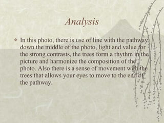 Analysis In this photo, there is use of line with the pathway down the middle of the photo, light and value for the strong contrasts, the trees form a rhythm in the picture and harmonize the composition of the photo. Also there is a sense of movement with the trees that allows your eyes to move to the end of the pathway. 