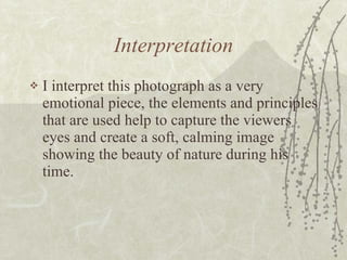 Interpretation I interpret this photograph as a very emotional piece, the elements and principles that are used help to capture the viewers eyes and create a soft, calming image showing the beauty of nature during his time.  