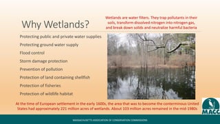 Why Wetlands?
Protecting public and private water supplies
Protecting ground water supply
Flood control
Storm damage prote...