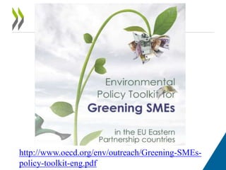 Policy Instruments to Promote Better Enviromental Performance | PPTX