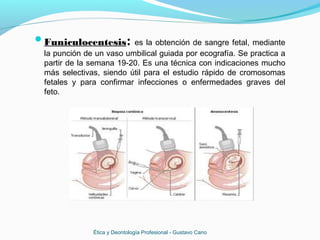 Funiculocentesis: es la obtención de sangre fetal, mediante
la punción de un vaso umbilical guiada por ecografía. Se practica a
partir de la semana 19-20. Es una técnica con indicaciones mucho
más selectivas, siendo útil para el estudio rápido de cromosomas
fetales y para confirmar infecciones o enfermedades graves del
feto.
Ética y Deontología Profesional - Gustavo Cano
 