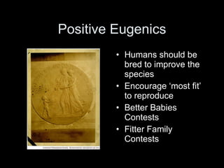Positive Eugenics Humans should be bred to improve the species Encourage ‘most fit’ to reproduce Better Babies Contests Fitter Family Contests 