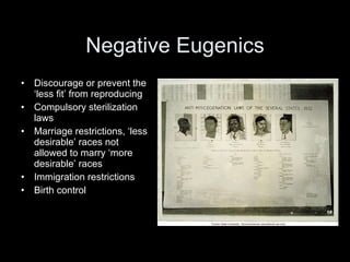Negative Eugenics Discourage or prevent the ‘less fit’ from reproducing Compulsory sterilization laws Marriage restrictions, ‘less desirable’ races not allowed to marry ‘more desirable’ races Immigration restrictions Birth control 