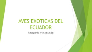 AVES EXOTICAS DEL
ECUADOR
Amazonia y el mundo
 