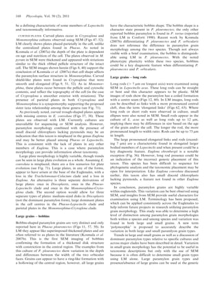 be a defining characteristic of some members of Lepocinclis
and taxonomically informative.
CURVED PLATES: Curved plates occur in Cryptoglena and
Monomorphina cultures observed using SEM (Figs 47–52).
LM clearly shows plates placed parietally in the cell, unlike
the centralized plates found in Phacus. As noted in
Kosmala et al. (2007a) the depth of the plate is dependent
on age and nutrition of the cell. The plates observed in M.
pyrum in SEM were thickened and appeared with striations
similar to the thick ribbed pellicle structure of the intact
cell. The SEM images shown herein (Figs 8, 48) support the
conclusion of Kosmala et al. (2007a) that cell shape affects
the paramylon surface structure in Monomorphina. Curved
shield-like plates were found in Cryptoglena that were
smooth and elongated (Figs 9, 51, 52). As in Monomor-
phina, these plates occur between the pellicle and cytosolic
contents, and reflect the topography of the cell (in the case
of Cryptoglena a smoother exterior with striations). The
presence of parietal plates in both Cryptoglena and
Monomorphina is a synapomorphy supporting the proposed
sister taxa relationship among these genera (see Fig. 71).
As previously noted, curved trough-shaped plates appear
with missing centres in E. convoluta (Figs 37, 38). These
plates are observed with LM. Currently cultures are
unavailable for sequencing or SEM analysis. However,
paramylon morphology combined with the presence of
small discoid chloroplasts lacking pyrenoids may be an
indication that this taxon is misplaced in the genus Euglena
and may be better placed among Phacus or Lepocinclis.
This is consistent with the lack of plates in any other
members of Euglena. This is a case where paramylon
morphology can provide information about taxonomy.
Large plate morphology is highly variable, though trends
can be seen in large plate evolution as a whole. Assuming E.
convoluta is misplaced, there are a few scenarios for plate
evolution (see Fig. 71). Large plates, in any of the forms,
appear to have arisen at the base of the Euglenales, with a
loss in the Trachelomonas-Colacium clade and a loss in
Euglena. An alternative is three separate derivations of
large plates: once in Discoplastis, once in the Phacus-
Lepocinclis clade and once in the Monomorphina-Cryto-
glena clade. The second option would allow for three
separate types of plates: medium-sized disks in Discoplastis
(not the dominant paramylon form), large dominant plates
in the cell centres in the Phacus-Lepocinclis clade and
parietal plates in the Monomorphina-Crytoglena clade.
Large grains – bobbins
Bobbin-shaped paramylon grains are very distinct and only
reported here in Phacus pleuronectes (Figs 11, 57, 58). In
LM they appear like superimposed thickened plates and are
often referred to as plates in the literature (Kosmala et al.
2007b). This is the first SEM imaging of bobbins
confirming the formation of a thickened disk structure
with constriction in the central region. The examples from
this culture of P. pleuronectes show variation in the depth
and differences between the width of the two orbicular
faces. Grains can appear to have a ring-like formation with
a hollowing of the central region, however, all large grains
have the characteristic bobbin shape. The bobbin shape is a
character state present in P. pleuronectes; the only other
reported bobbin paramylon is found in P. tortus (reported
from LM in Conforti 1998). Recent work by Kosmala
(2007b) differentiating P. pleuronectes and P. orbicularis
does not reference the difference in paramylon grain
morphology among the two species. Though not always
visible with a brief examination, the bobbin is distinguish-
able using LM in P. pleuronectes. With the noted
phenotypic plasticity within these two species, bobbins
could be a key diagnostic feature when differentiating P.
pleuronectes and P. orbicularis.
Large grains – long rods
Long rods (. 7 mm on longest axis) were examined using
SEM in Lepocinclis acus. These long rods can be straight
or bent and this character appears to be plastic. SEM
images of rods show the paramylon has a coiled formation
with a centre seam (Figs 12, 60). In LM images, long rods
can be described as links with a more pronounced central
cleft, thus the term ‘elongated links’ (Figs 62, 63). Where
long rods or short rods were observed in culture, small
ellipses were also noted in SEM. Small rods appear in the
culture of L. acus as well as long rods up to 12 mm,
implying there may be differences in size based on the age
of the grain and/or the cell. The longer the rod, the more
pronounced length to width ratio. Rods can be up to 75 mm
in length.
The large pronounced elongated links and rods (exceed-
ing 7 mm) are a characteristic found in elongated larger
bodied members of Lepocinclis and when present could be a
key diagnostic feature. Euglena ehrenbergii is a notable
exception (Fig. 36). However, long rod presence could be
an indication of the incorrect generic placement of this
taxon. This species has been difficult to sequence for
phylogenetic analysis and the taxonomic placement may be
open for interpretation. Like Euglena convoluta discussed
earlier, this taxon also has small discoid chloroplasts
lacking pyrenoids, a feature not found in other Euglena
species.
In conclusion, paramylon grains are highly variable
within euglenoids. This variation can be best observed using
SEM, and insights from SEM provide useful characters for
examination using LM. Terminology has been proposed,
which can be applied consistently across the Euglenales to
help inform future projects in research utilizing paramylon
grain morphology. This study was able to determine a high
level of distinction among paramylon grain morphologies
both within a species and among species and variation was
found in both large and small grains. A new term
‘polymorphic’ is proposed to accurately describe the
variation in both large and small paramlyon grain types.
Trends in large and small grains as well as a discussion of
dominant paramylon types relative to specific cultures and
across major clades have been described in detail. Variation
in small grain morphology has the potential to be useful in
taxonomic descriptions but only with the use of SEM
because it is often difficult to determine small grain types
using LM alone. Large paramylon grain types and
presence/absence of large grains can be used at the generic
168 Phycologia, Vol. 50 (2), 2011
 