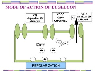 MODE OF ACTION OF EUGLUCON ATP dependent K+  channels VDCC Ca++ CHANNEL Ca++ ACTIVATED  CHANNEL Ca++ REPOLARIZATION K+ - + 