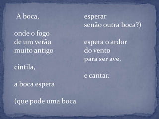     A boca,onde o fogode um verãomuito antigocintila,a boca espera(que pode uma bocaesperarsenão outra boca?)espera o ardordo ventopara ser ave,e cantar.
