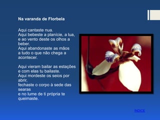 Na varanda de Florbela
Aqui cantaste nua.
Aqui bebeste a planície, a lua,
e ao vento deste os olhos a
beber.
Aqui abandonaste as mãos
a tudo o que não chega a
acontecer.
Aqui vieram bailar as estações
e com elas tu bailaste.
Aqui mordeste os seios por
abrir,
fechaste o corpo à sede das
searas
e no lume de ti própria te
queimaste.
ÍNDICE
 