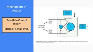 Mechanism of
Action
Pain Gate Control
Theory
(Melzack & Wall 1965)
 