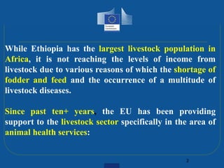 EU support to the livestock sector in Ethiopia