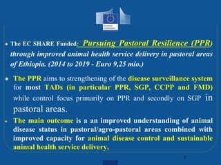 EU support to the livestock sector in Ethiopia