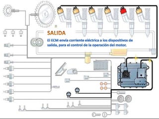 SALIDAEl ECM envía corriente eléctrica a los dispositivos de salida, para el control de la operación del motor.